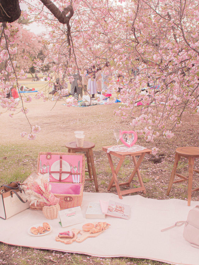 おしゃピクするならレンタルで行こ🧺🌸