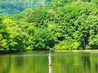 Kagami ike pond