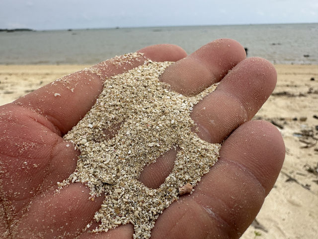 沖縄・石垣島。木々をくぐり抜けると現れる宮良湾の海岸『大浜海岸』