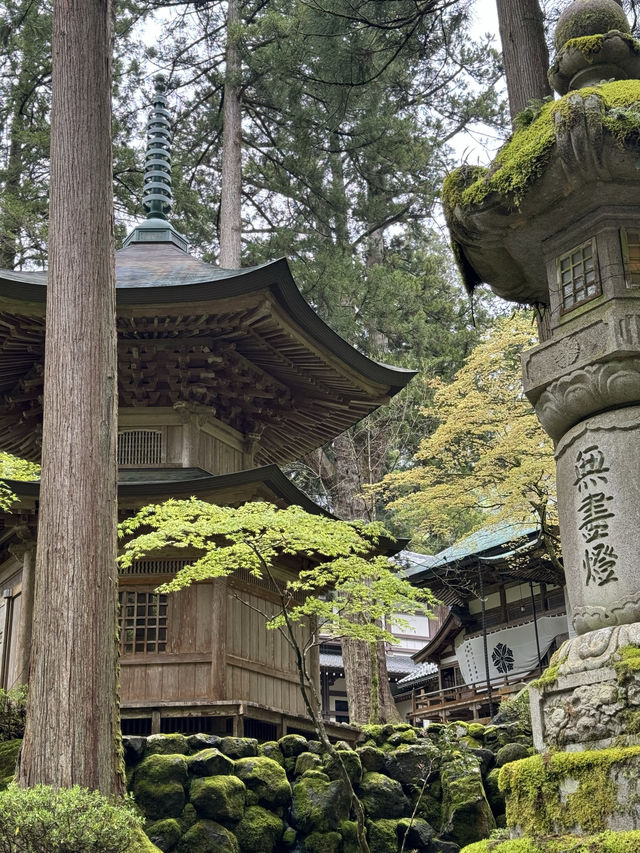 【福井・永平寺】言わずと知れた曹洞宗の総本山