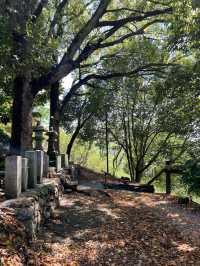 【大山阿夫利神社/栃木県】足利の大山講による信仰深き神社
