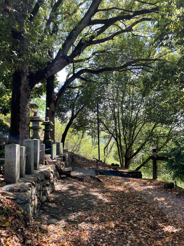 【大山阿夫利神社/栃木県】足利の大山講による信仰深き神社