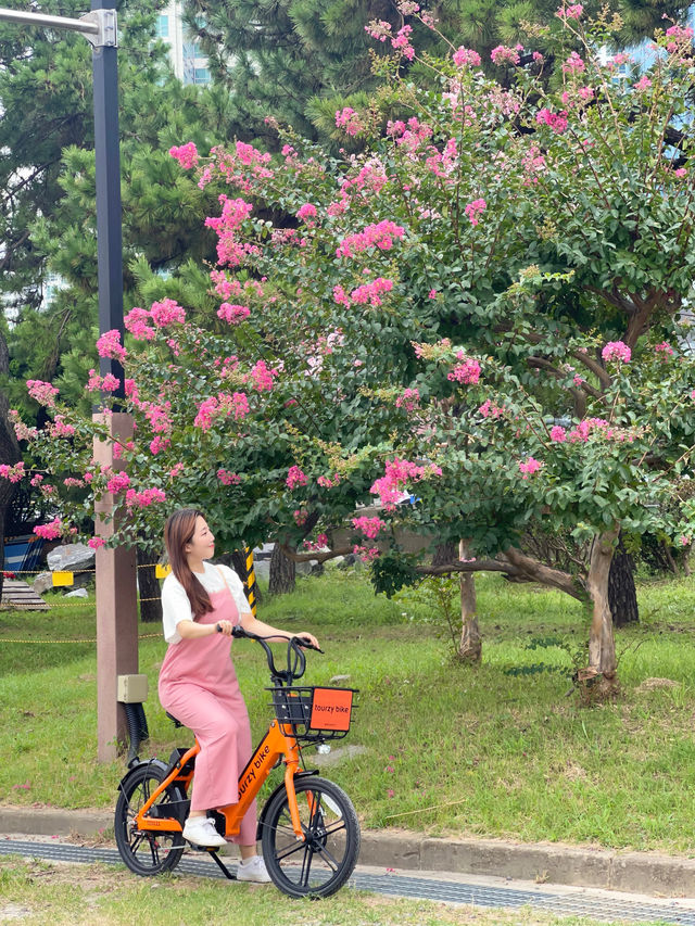 자전거로 돌아보는 부산핫플 탐방기🚲⭐️