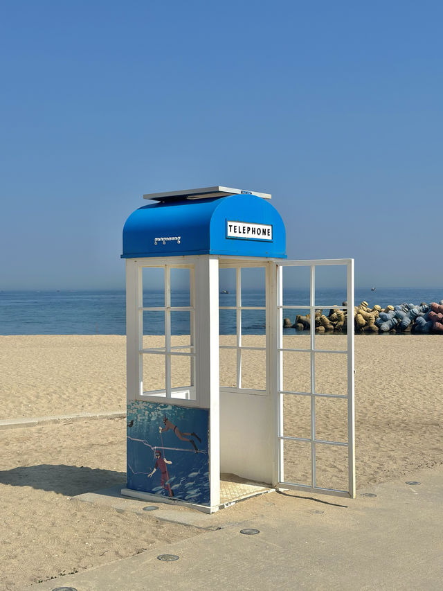 파스텔톤 방파제를 볼 수 있는 사근진해변💙