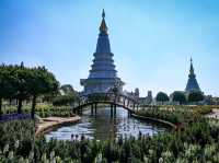 Visit Doi Inthanon in January