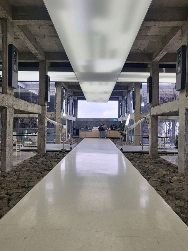 🩵제주도 구좌읍 카페 추천 공백🤍