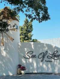 คาเฟ่สุดปังพัทยา Sea of love Pattaya #ร้านสวยมาก