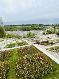 【淡路島観光】海を見渡せる100個の花壇の花々に癒される🌸🌼