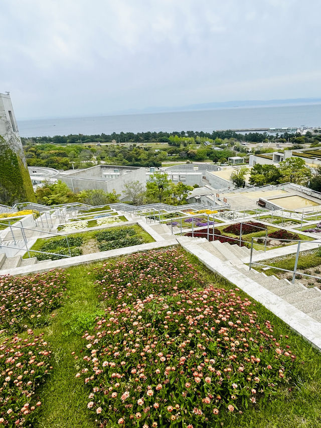 【淡路島観光】海を見渡せる100個の花壇の花々に癒される🌸🌼