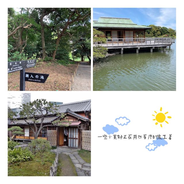 春日游：日式優美庭園✨