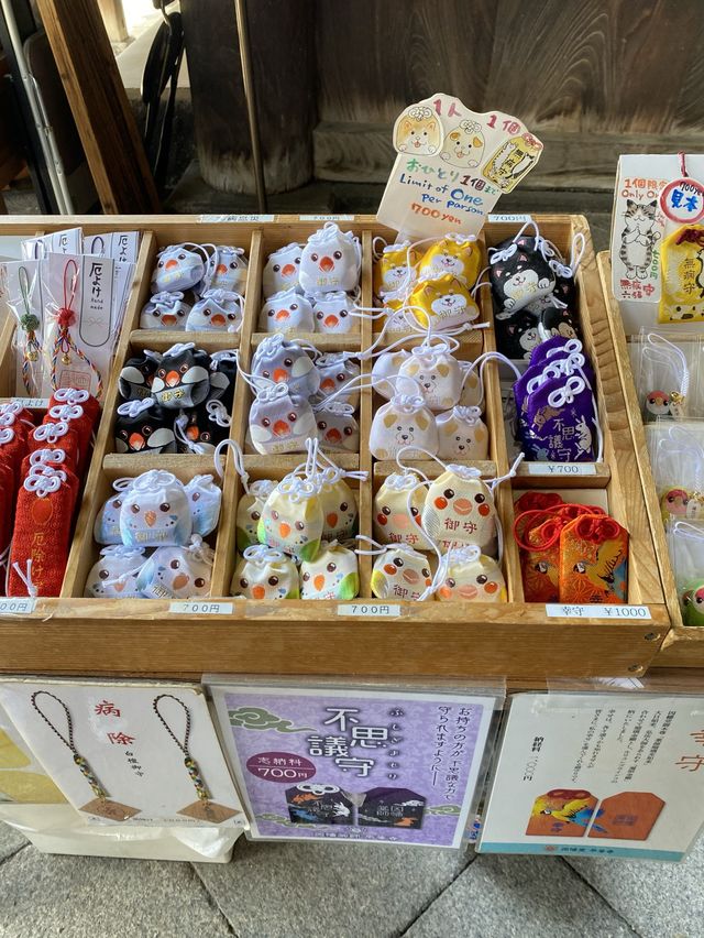 【京都】インコのお守りが可愛い