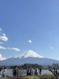 🗻 富士山麓の穏やかな町：河口湖町 🌅