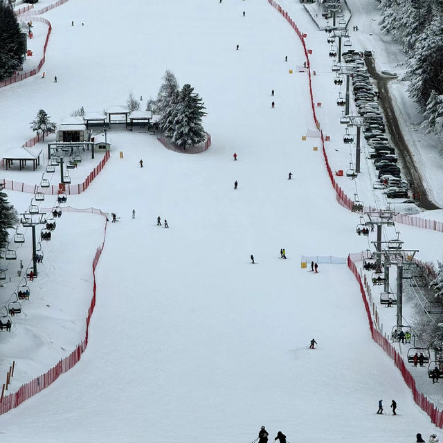 札幌國際滑雪場：豐富滑雪體驗