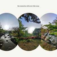 岡谷湖畔公園：春天好去處，適合漫步和欣賞大自然