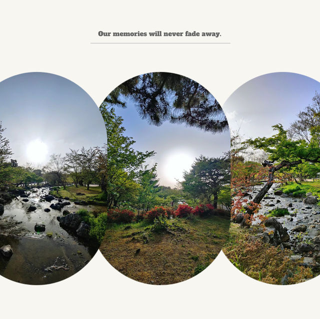 岡谷湖畔公園：春天好去處，適合漫步和欣賞大自然