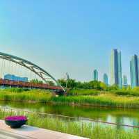 드라마 ‘도깨비’ 촬영지로 유명한 청라호수공원🏞️
