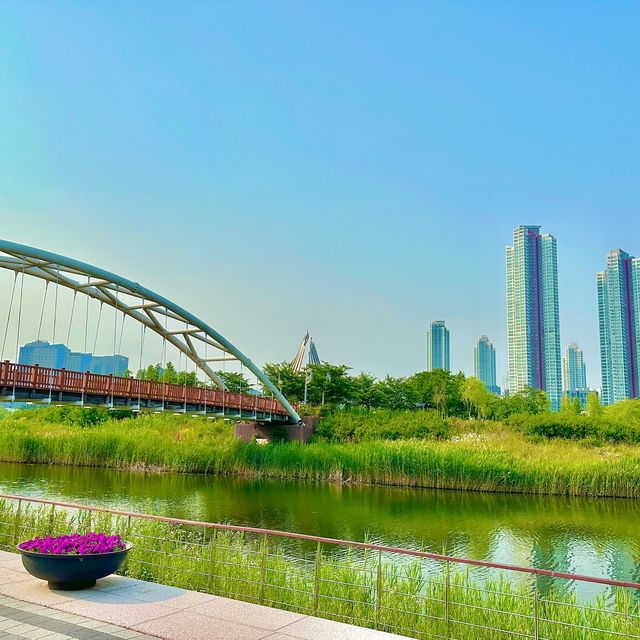 드라마 ‘도깨비’ 촬영지로 유명한 청라호수공원🏞️