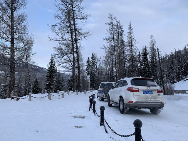 Winter Wonderland Escapades, Hemu Village