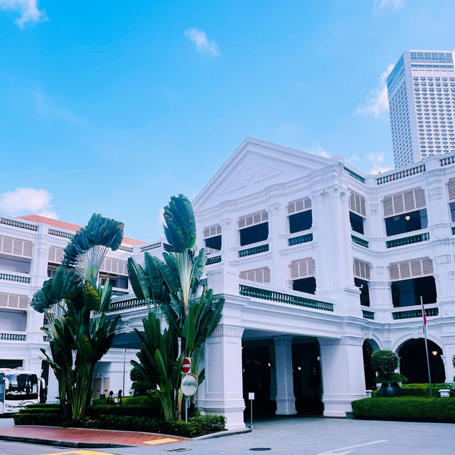 【シンガポール🇸🇬/ユニークでハイセンスなシンガポール土産を買うならココ‼︎】