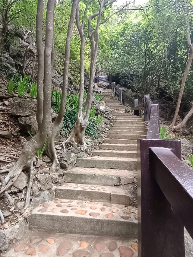 ตามรอยสังข์ทอง วนอุทยานเขานางพันธุรัต