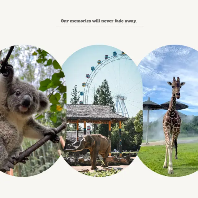 頑皮世界野生動物園：稀有動物天地