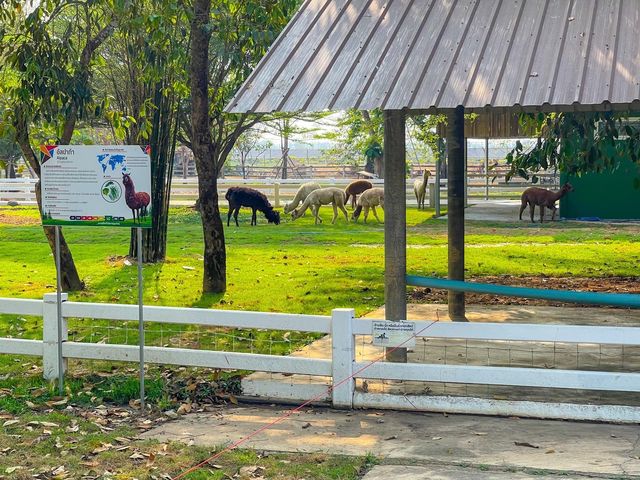 สนามบินสุโขทัย ที่เป็นมากกว่าสนามบิน