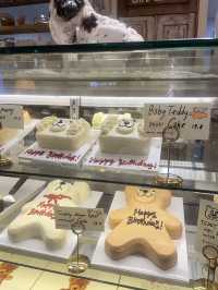 韓國釜山/Cafe layerd Jennie同款蛋糕🎂