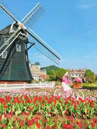【絶景】まるで春のヨーロッパ🌷100万本のチューリップ祭2024✨️