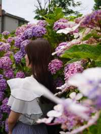 【東京絶景】スカイツリーと紫陽花