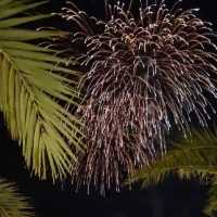 Must-Visit TreasureShop in American Village Okinawa