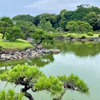 「百合之原公園」繽紛花海，心曠神怡