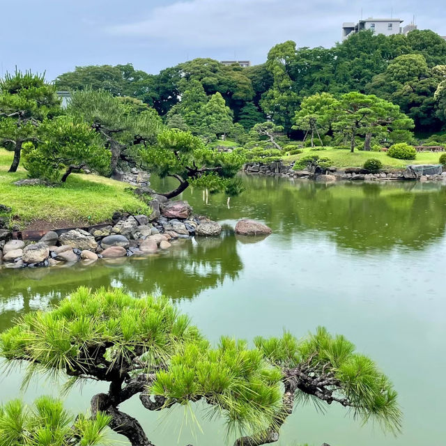 「百合之原公園」繽紛花海，心曠神怡