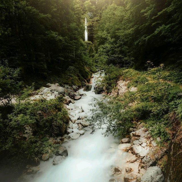 pericnik fall 