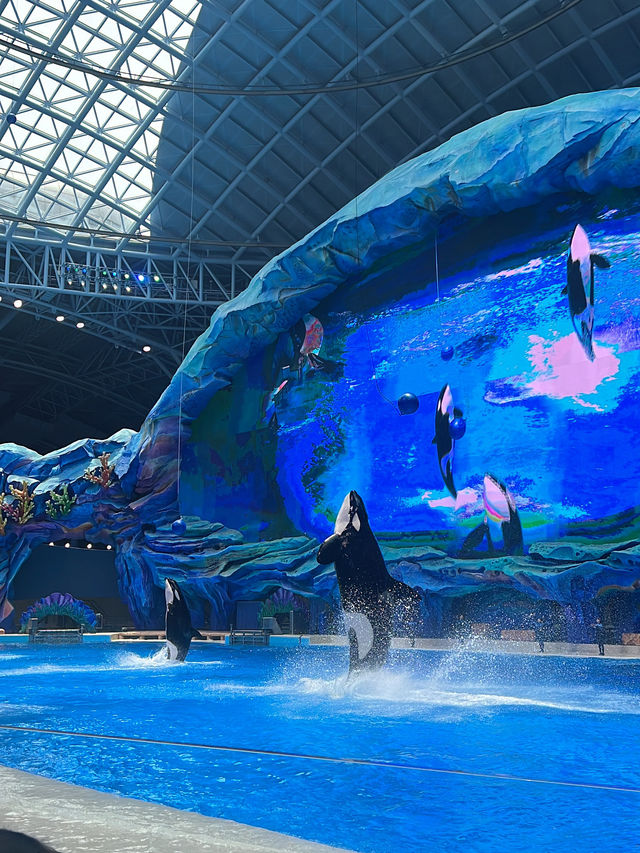 🚀珠海長隆飛船樂園三日兩夜