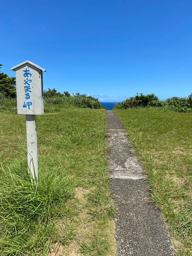 【奄美】南国！一度は見てほしい絶景あやまる岬