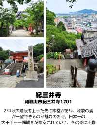 【和歌山】和歌山市観光スポットおすすめ9選