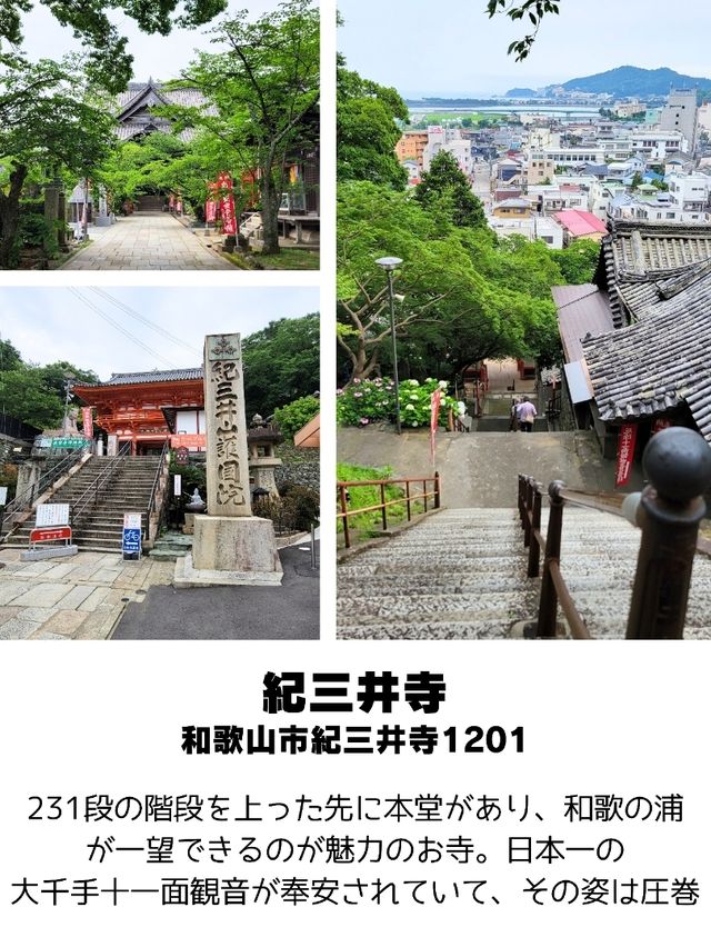 【和歌山】和歌山市観光スポットおすすめ9選