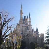 Tokyo Disneyland หน้าหนาวว