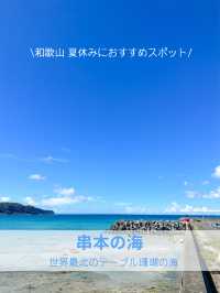 【和歌山】串本で夢中になったシュノーケリング体験🏝️✨