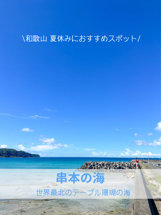 【和歌山】串本で夢中になったシュノーケリング体験🏝️✨