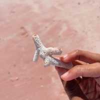pink beach komodo island