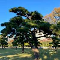 日比谷公園是日本第一座西式公園