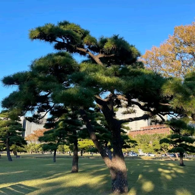 日比谷公園是日本第一座西式公園