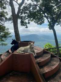 อุทยานแห่งชาติเขาพระวิหาร | ศรีสะเกษ ⛰️🌧️🌳🪨