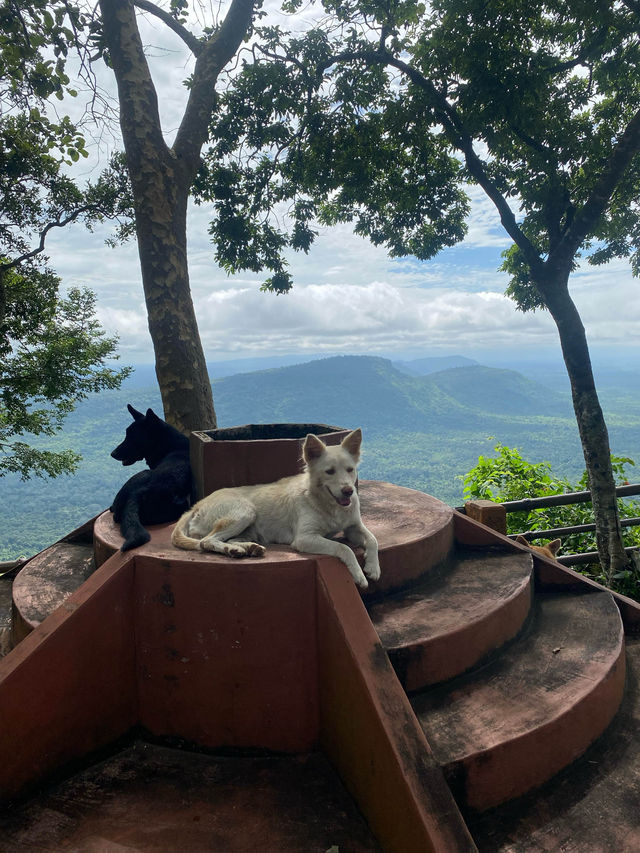 อุทยานแห่งชาติเขาพระวิหาร | ศรีสะเกษ ⛰️🌧️🌳🪨