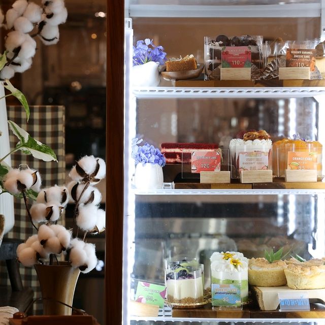ชมนคร คาเฟ่เปิดใหม่ที่ นครพนม