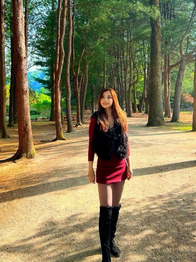 Escape to Nami Island: A Seoul Day Trip 🌳🍁🇰🇷