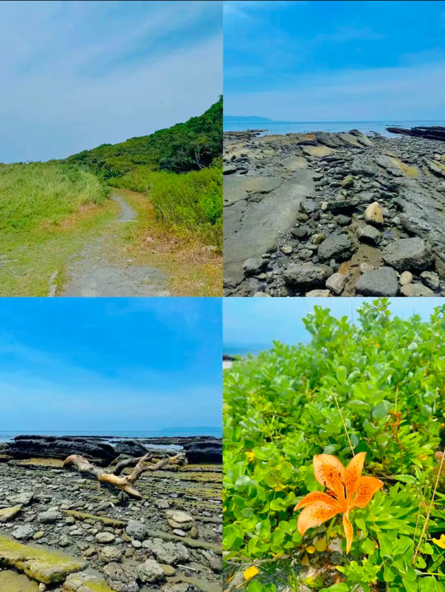 東京から2時間で行ける無人島🏝✨癒しの南国リゾート沖ノ島😎🌺【千葉】