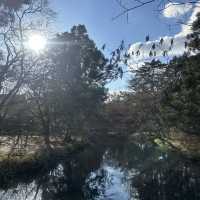 金鱗湖：湖畔神秘鳥居，由布院必遊景點