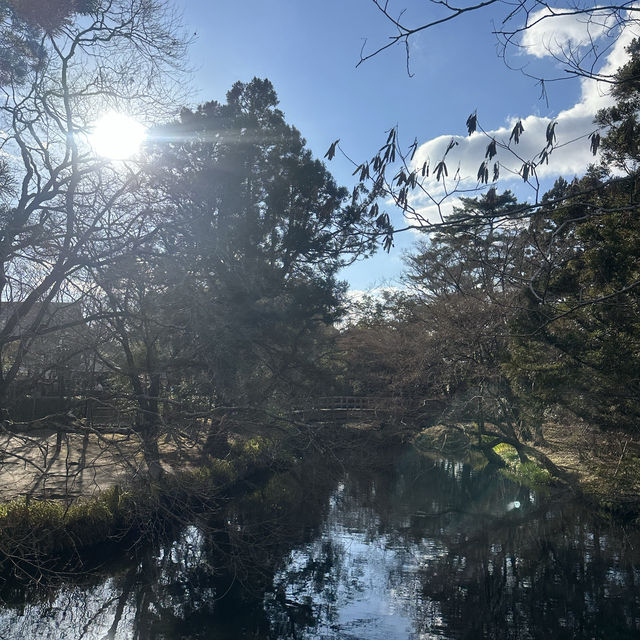 金鱗湖：湖畔神秘鳥居，由布院必遊景點